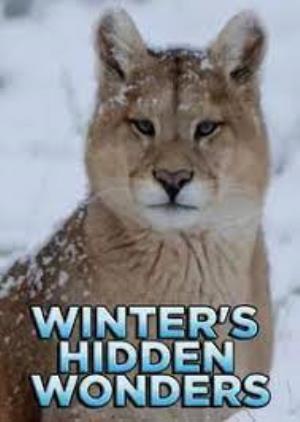 Winter's Hidden Wonders's Poster