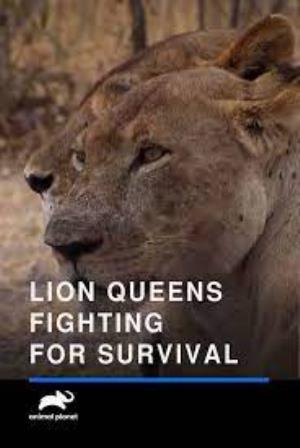 Lion Queens: Fighting For Survival's Poster