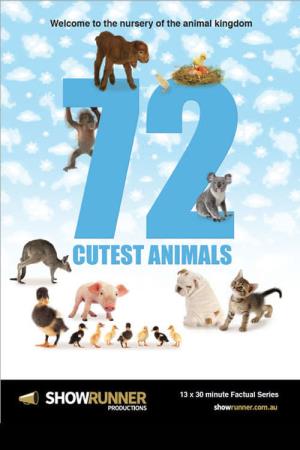 72 Cutest Animals's Poster