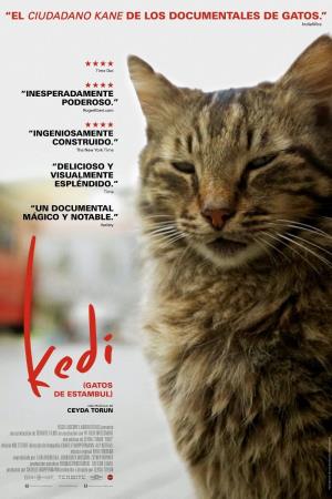 Kedi No 2's Poster