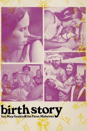 The Midwives's Poster