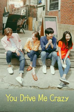 You Drive Me Crazy's Poster