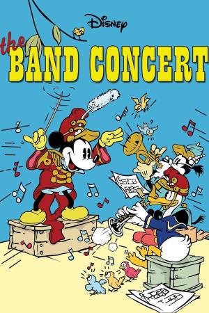 The Band's Poster