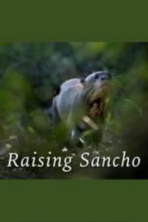 Raising Sancho's Poster