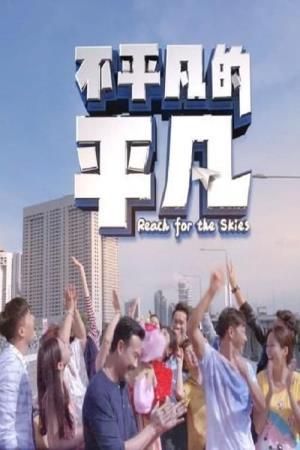 不平凡的平凡's Poster