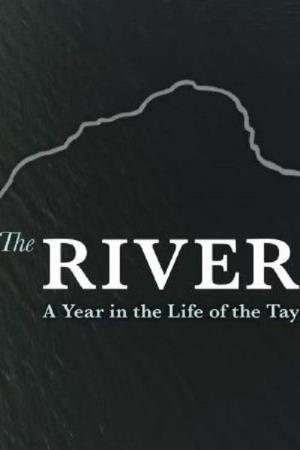 The River: A Year in the Life of the Tay's Poster