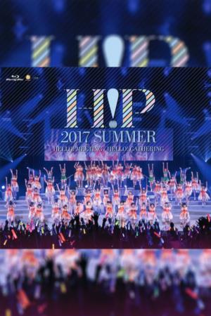 Hello Summer's Poster