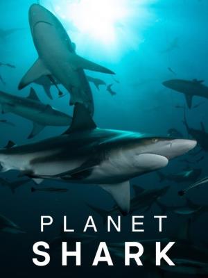 Planet Shark's Poster
