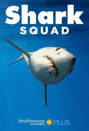 Shark Squad's Poster