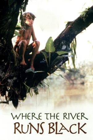 Where the River Runs Black's Poster