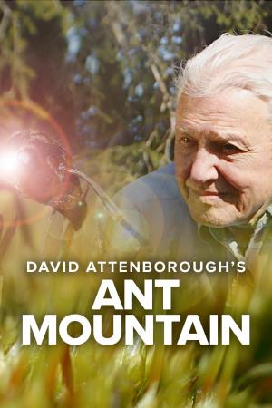 David Attenborough's...'s Poster