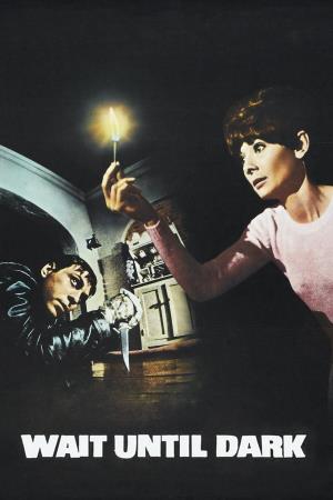 Gli occhi della notte's Poster