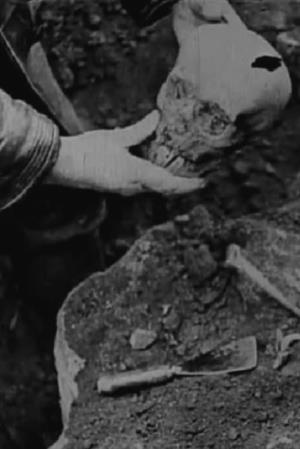 Histoire du soldat's Poster