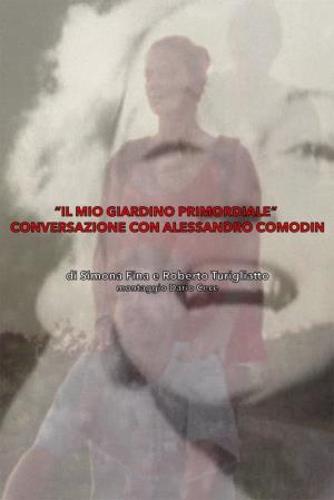 Conversazione con Alessandro Comodin's Poster