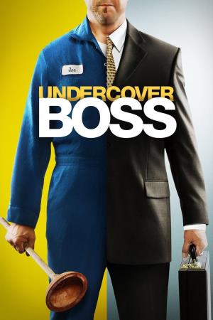 Celebrity Undercover Boss USA's Poster