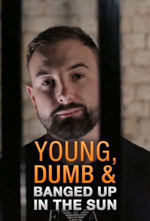 Young, Dumb & Banged Up In The Sun's Poster