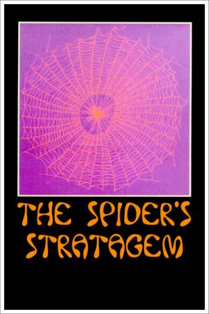 La strategia del ragno's Poster
