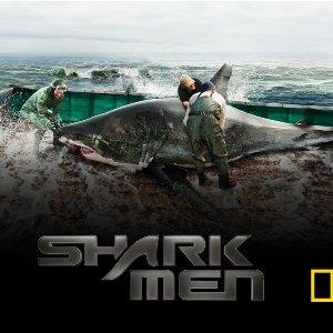 Shark Men's Poster
