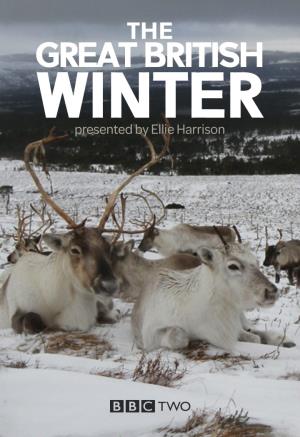 The Great British Winter's Poster