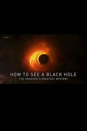 How to See a Black Hole: The...'s Poster