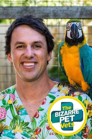 The Bizarre Pet Vets's Poster