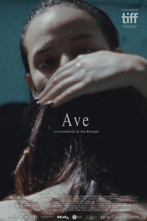 Ave's Poster