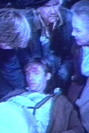 The Waltons's Poster