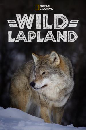 Lapponia's Poster