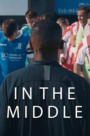 In the Middle's Poster