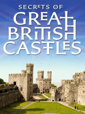 Secrets Of Great British Castles's Poster