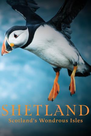 Shetland: Scotland's Wondrous Isles's Poster