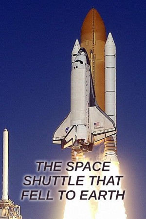 The Space Shuttle That Fell To Earth's Poster