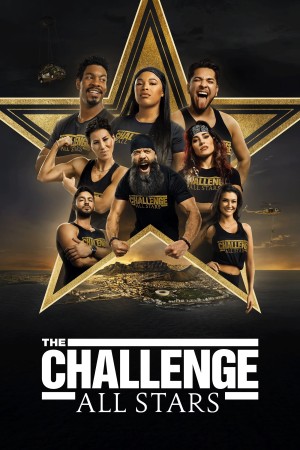 The Challenge: All Stars's Poster