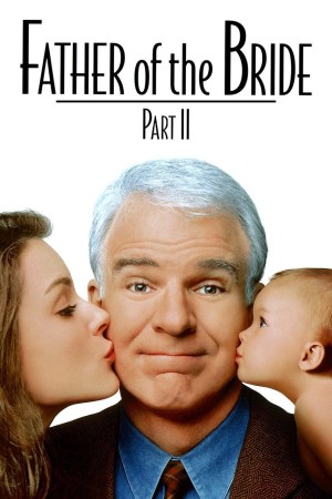 Il padre della sposa 2's Poster