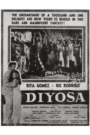 DIYOSA's Poster