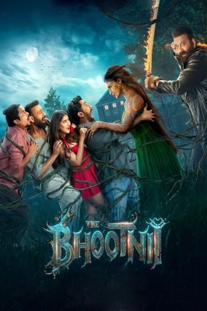 The Bhootnii's Poster