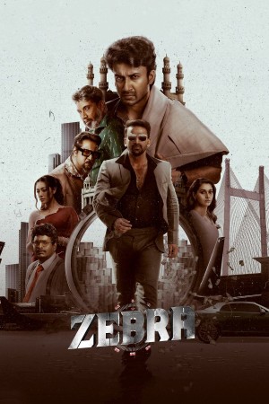 Zebra's Poster