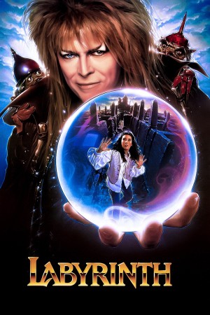 The Labyrinth's Poster