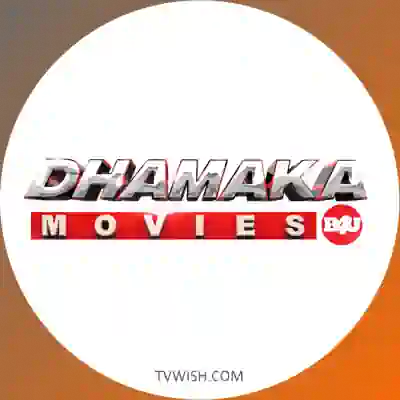 Channel Logo