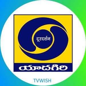 Channel Logo