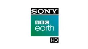 Channel Logo