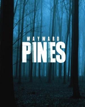Wayward Pines Poster