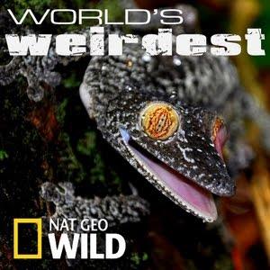 World's Weirdest Pets Poster