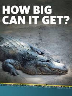 How Big Can It Get Poster