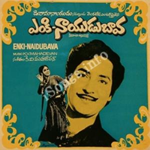 Nayudu Bava Poster