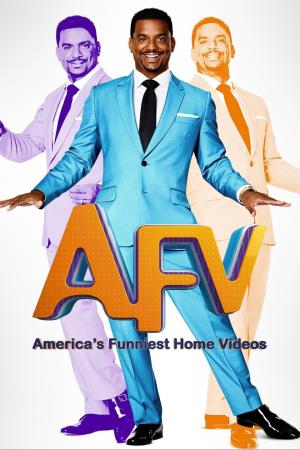 America's Funniest Videos Poster