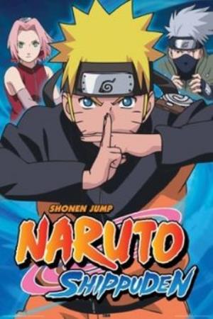 Naruto IV Poster
