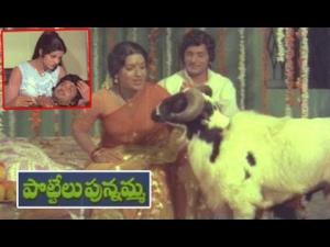 Pottelu Punnamma Poster