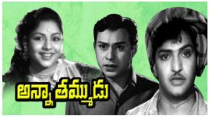 Anna Thammudu Poster