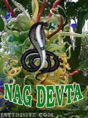 Naag Devta Poster